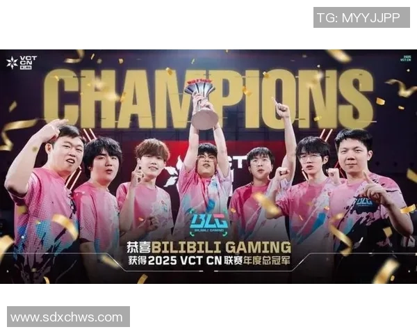 BLG战队的荣耀与挑战：DOTA2赛场上的奋斗与成长纪实