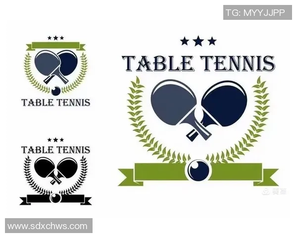 乒乓球战术解析：杭州乒乓球队的阵地战与策略深度剖析