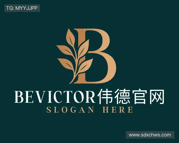 认识bevictor伟德